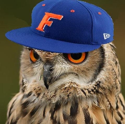 thesamdakota's profile picture. Proud Gator alum. BARVES fan. #BeTheThunder. #RiseUp (Samuel L. Jackson demands it).