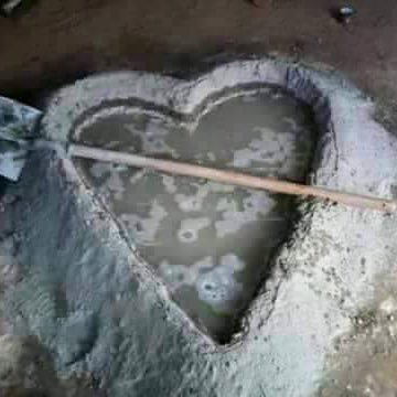 mshh4004's profile picture. 