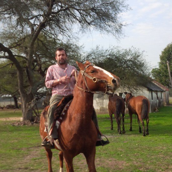 Agregado Agricola - Embajada Argentina ante Union Europea - Sabalero ❤️🖤- Fanático de los caballos - ♟ Ajedrez