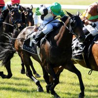 Pike Racing (@pikeracing) 's Twitter Profile