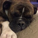 Megan Lesser - @meg_lesser - Twitter