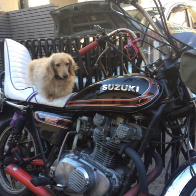 埼玉 バイク、車、ブランド品の売り買い、情報交換などに役立てましょう! 完璧な整備車ではないです,知らない人に分割はしません!気軽にフォローお願いします 100%返します、3Nでお願いします