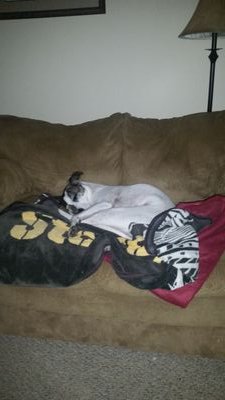 huntthedump's profile picture. 