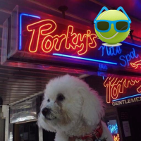 🇦🇺Duke of Darlo Rd (@peter124u) 's Twitter Profile