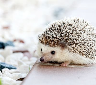 dvsaav3a3's profile picture. wonderful