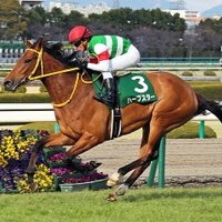 酪農学園大学競馬サークル Friend's hip 《非公認》 (@keibadsk) Twitter profile photo