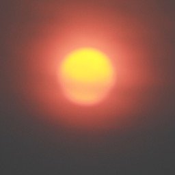 brendan4life2's profile picture. Winona State University