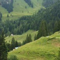 عبدالله السوادي (@abogassem2015) 's Twitter Profile