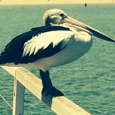 timosimo7's profile picture. Not so quiet observer! Champion of freedom and justice.If caring for people makes me a leftie-I'm good with it. Happy to share my opinion....