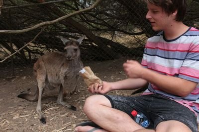 Chris_Bennett93's profile picture. Dogs fucked the pope.. No fault of mine.