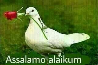 mhashimk90's profile picture. 