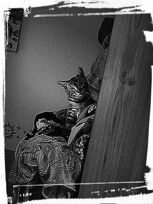 Fire_Loul's profile picture. 