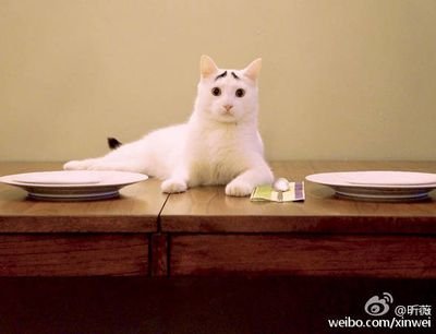 miflash1's profile picture. 讲点骚话 另外电竞粉一枚