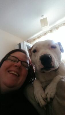 Holistically helping horses, dogs and more through massage, myofascial release, reiki, animal communication, acupressure. Covering East Midlands