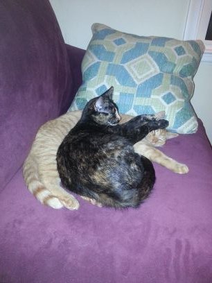 morgahn1973's profile picture. 