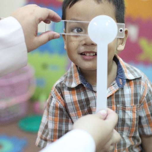 Spesialis Mata-Sub spesialis Mata Anak & Juling. Staf pengajar Dept Ilmu Kes Mata FK UNAIR. Studied at FK Unair and Med School-Univ of Utah (USA) WA:08113419344