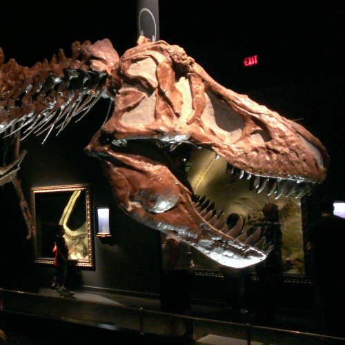 kaizen_tom's profile picture. 