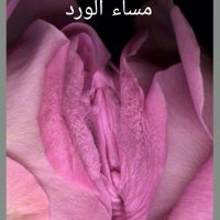 الجنوبي  + (@bndaralmahmmad1) Twitter profile photo