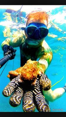 _agusgmail's profile picture. pescador submarino.de (CARTAGENA)ESPAÑA( Y YO, TAMBIEN AMO EL MAR ).