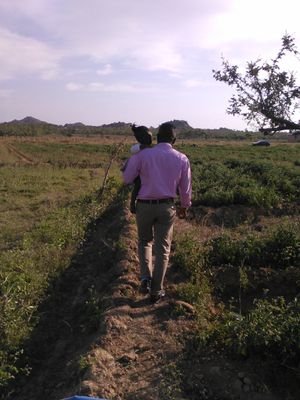 bwitirak's profile picture. 