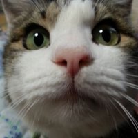 k (@allenwalker0403) 's Twitter Profile