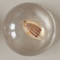 Rebecca Chesney (@chesneyrebecca) 's Twitter Profile