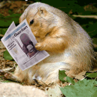 Christian Lecomte (@lcdu92) 's Twitter Profile Photo