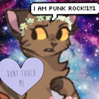 leef (@actual_leafpool) 's Twitter Profile