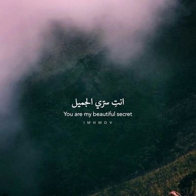 mmllpp1122's profile picture. ‏‏‏‏‏: سَ ﺂبقىَ معكِ ، وَ سَ ﺂحبكِ دومااً ،حتىءَ إنء لمَ أرآك دائماا ،سَ إبقىَ وفيًاا لِ حُبكك  mِ