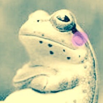 1tdem's profile picture. 趣味垢＊本音垢 ／Sky星を紡ぐ子どもたち／ことちゃん／ことでん／聖飢魔II／アリプロ／Perfume／永野護 氏／白崎裕子 氏／歌川国芳／動物園／保護犬飼い(3頭目) 得意→即打ちうどん打ち、パン焼き