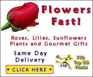 findyourstuff's profile picture. Find all the things you need.