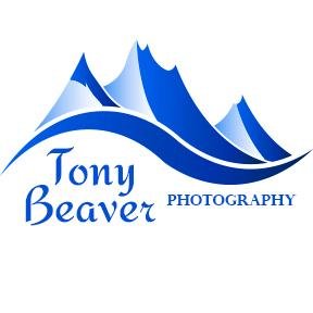 Photographer specializing in fine art nature prints from the Adirondack Mountains. Purchases may be made at my website, https://t.co/NWqzQzxK1k.