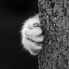 BobNancy3's profile picture. 🐾So, so you think you can tell...
🐾BobNancy® δεν επιτρέπει τη δημοσιοποίηση των αναρτήσεών του εκτός του twitter🐾