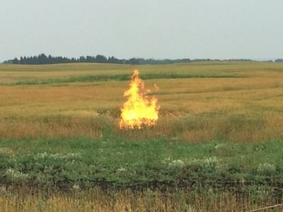 brandon_hames's profile picture. Cvr Gas Utility