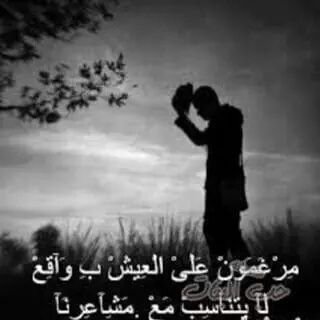 puresilk2015's profile picture. 