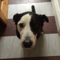 John McBeth (@johnmcbeth1968) 's Twitter Profile