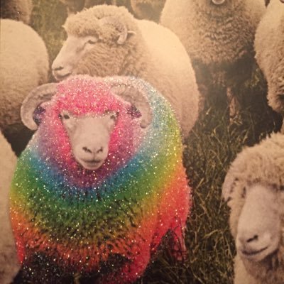 EMmoxeygirl's profile picture. 