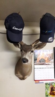 androidchrome2's profile picture. 