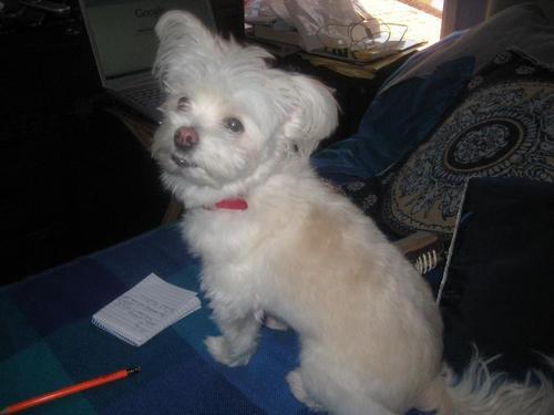 queva2010's profile picture. 