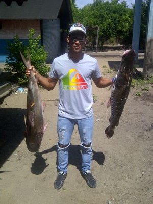 CroniLudwing's profile picture. 