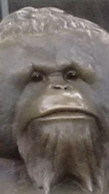 gugelmeierryan's profile picture. 