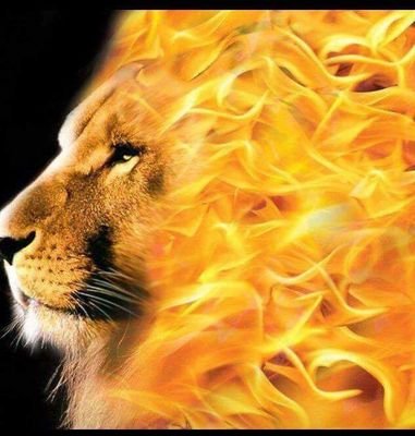 msjrealtor's profile picture. Real Estate Broker, Tax Specialist, Pastor of Bethel Outreach Ministry Int'l, wife, and mother.