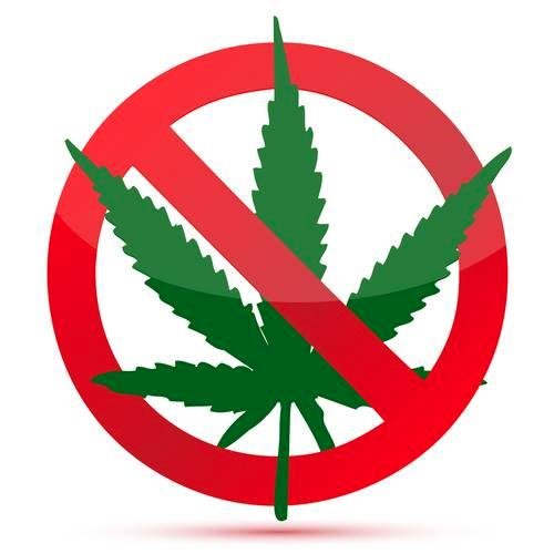 Citizens Against Legalizing Marijuana (CALM) is an all-volunteer Political Action Committee dedicated to defeating any effort to legalize marijuana.