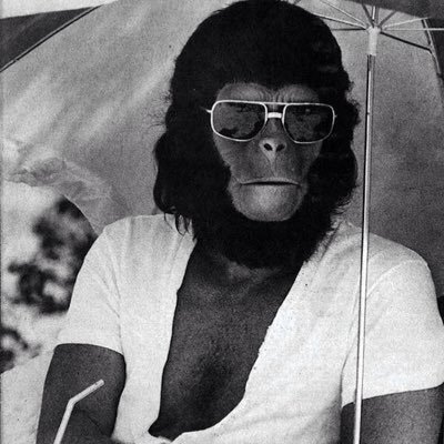 Meatheadhippie's profile picture. All views are the result of my genes and the environment they find themselves in. XY.