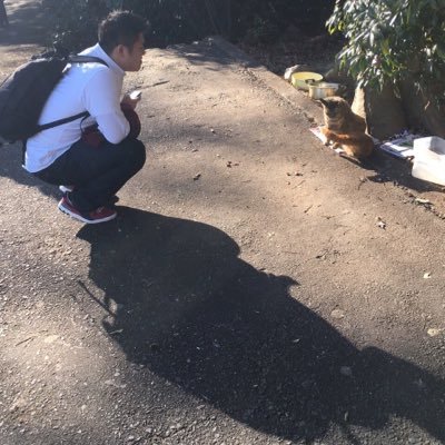 Start0809's profile picture. 同志社大学法・法3回生/川口Rゼミ/ヤクルト/サークル→Yandees#10/ No Dogs No Life