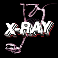 X-RAY(@Xray_live) 's Twitter Profile Photo