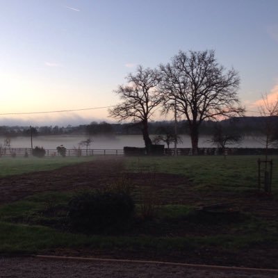 AForienRM's profile picture. 