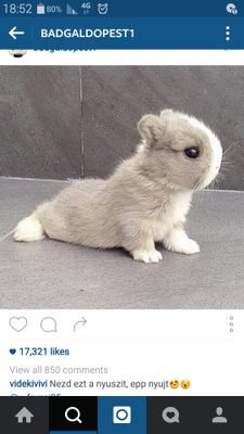 GraceBiebsMahon's profile picture. Stay Strong