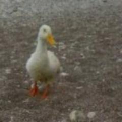 ceepcip's profile picture. 23, Olympos