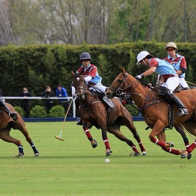 rizzoli_g's profile picture. 